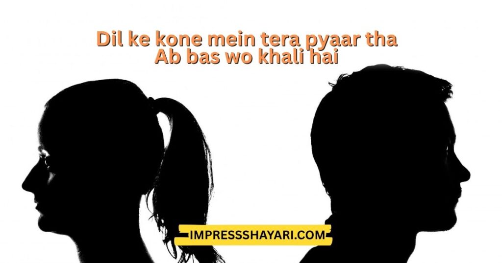 heart touching breakup shayari in english