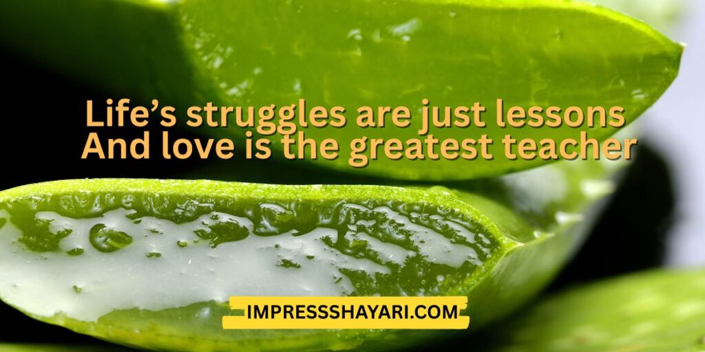 life struggle shayari in english