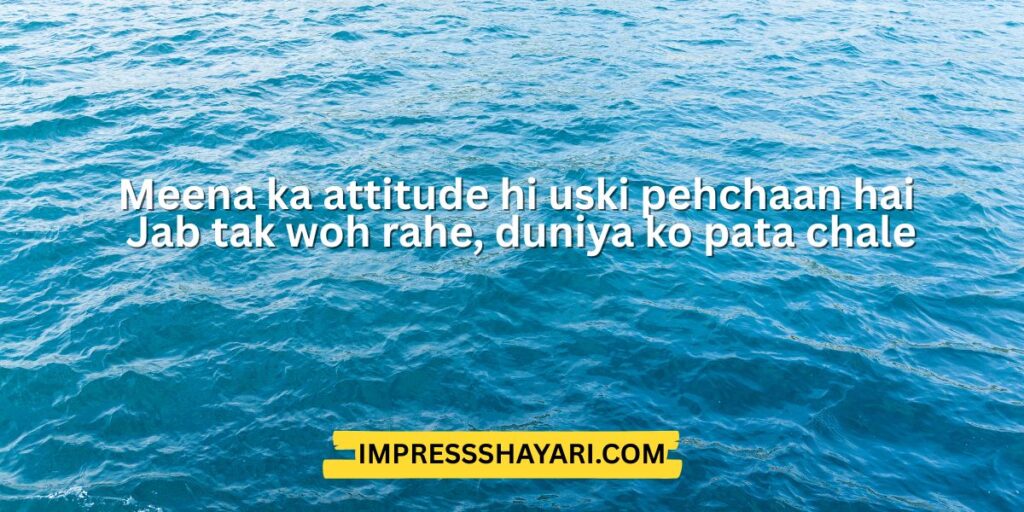 meena shayari attitude