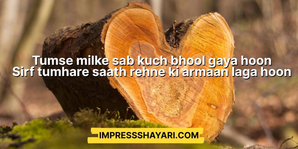 pyar wali shayari english mein