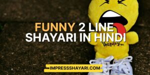 2 line funny shayari in hindi