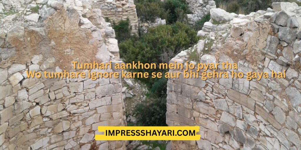 shayari on ignorance