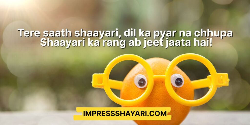 2 line funny shayari in hindi