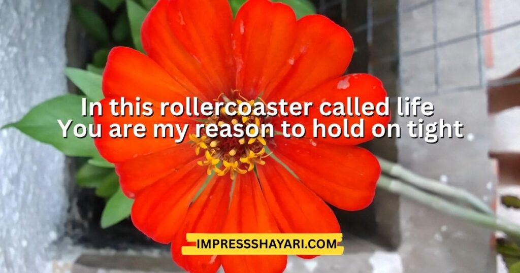 flirt shayari to impress a girl in english