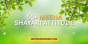 meena shayari attitude