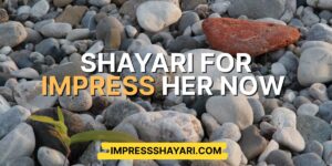 shayari to impress a girl in english