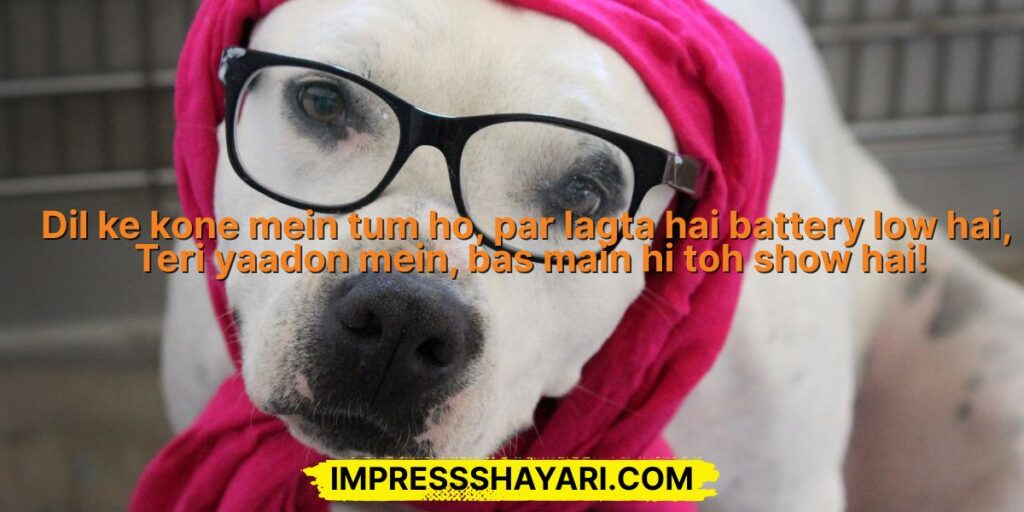 shayari funny jokes in roman english
