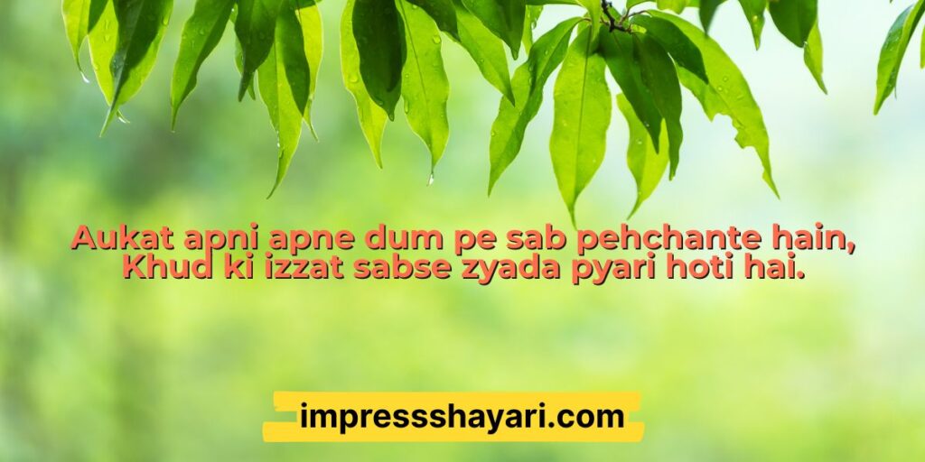 aukat shayari in punjabi