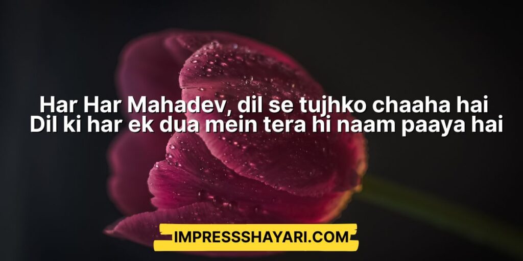 har har mahadev ki shayari