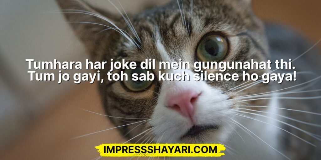 shayari funny jokes in roman english
