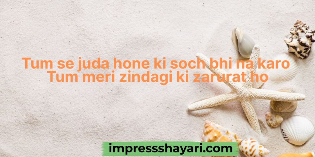 shero shayari in roman english