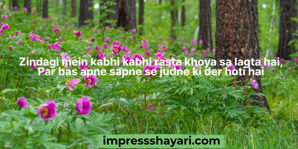 beautiful shayari in roman english