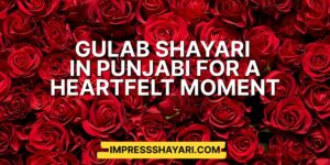 gulab shayari in punjabi