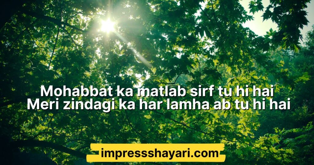 impress karne ki shayari