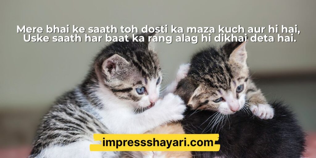 bhai log shayari in hindi