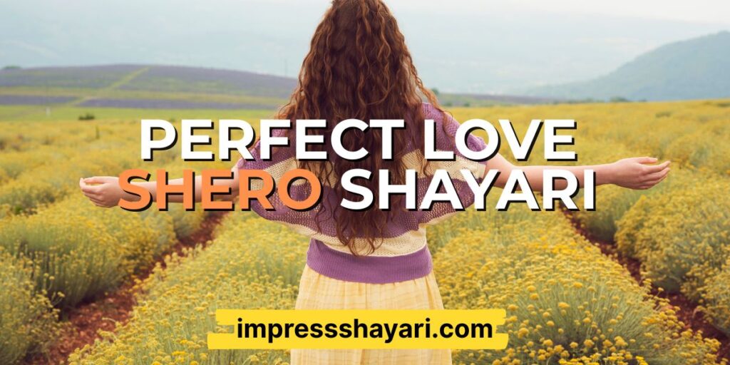 love shero shayari english