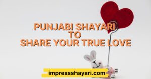 love shero shayari punjabi