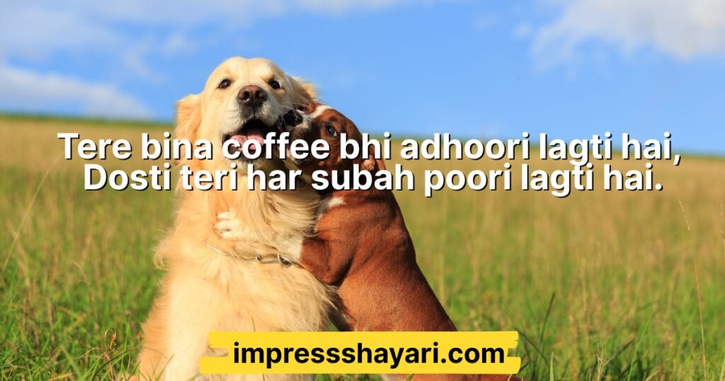 dosti ki shayari english mein