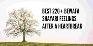 bewafa shayari